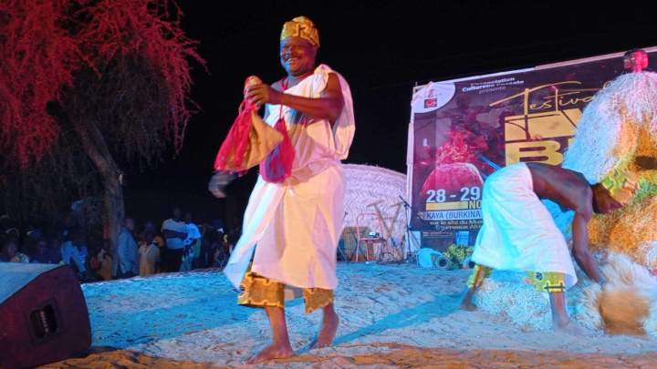 Fédération culturelle africaine Île de France