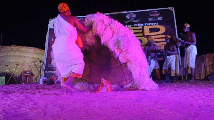 Groupe culturel africain Île de France