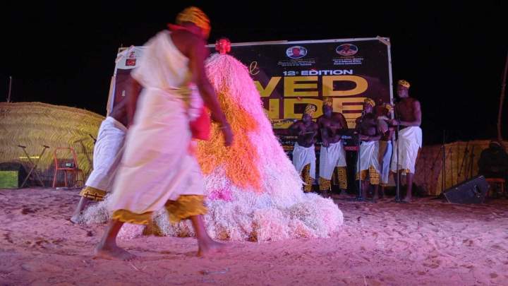 Mouvement culturel africain Île de France