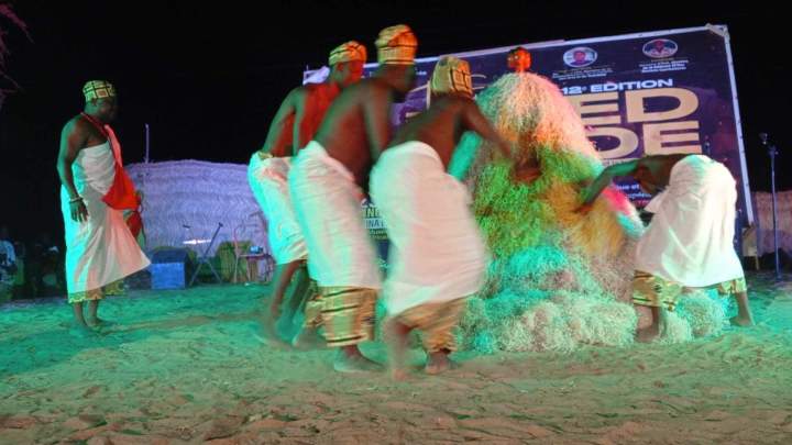 Mouvement interculturel africain Île de France