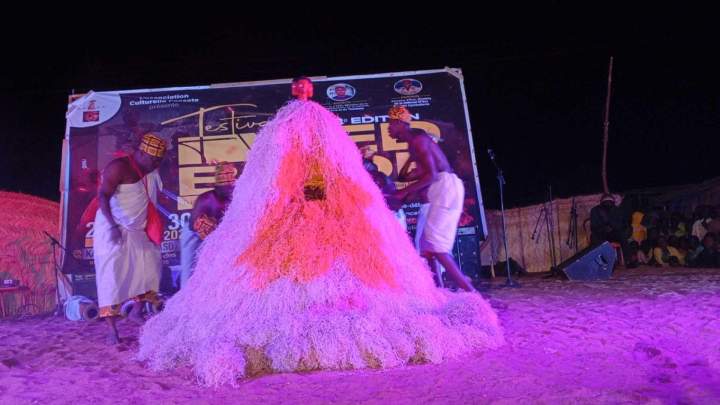 Organisme culturel africain Île de France