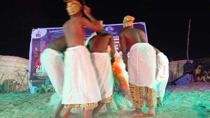 Programme pédagogique danse africaine Île de France