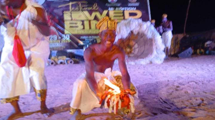 Saison de danse africaine Île de France